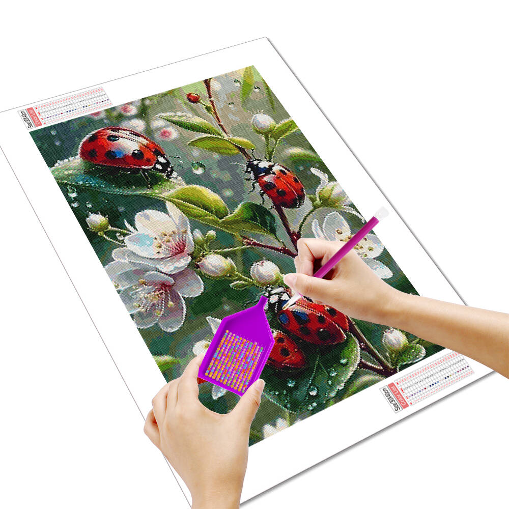 HUACAN 5d Diamond Painting Lad - Embroidery Lady Bug recension och pris