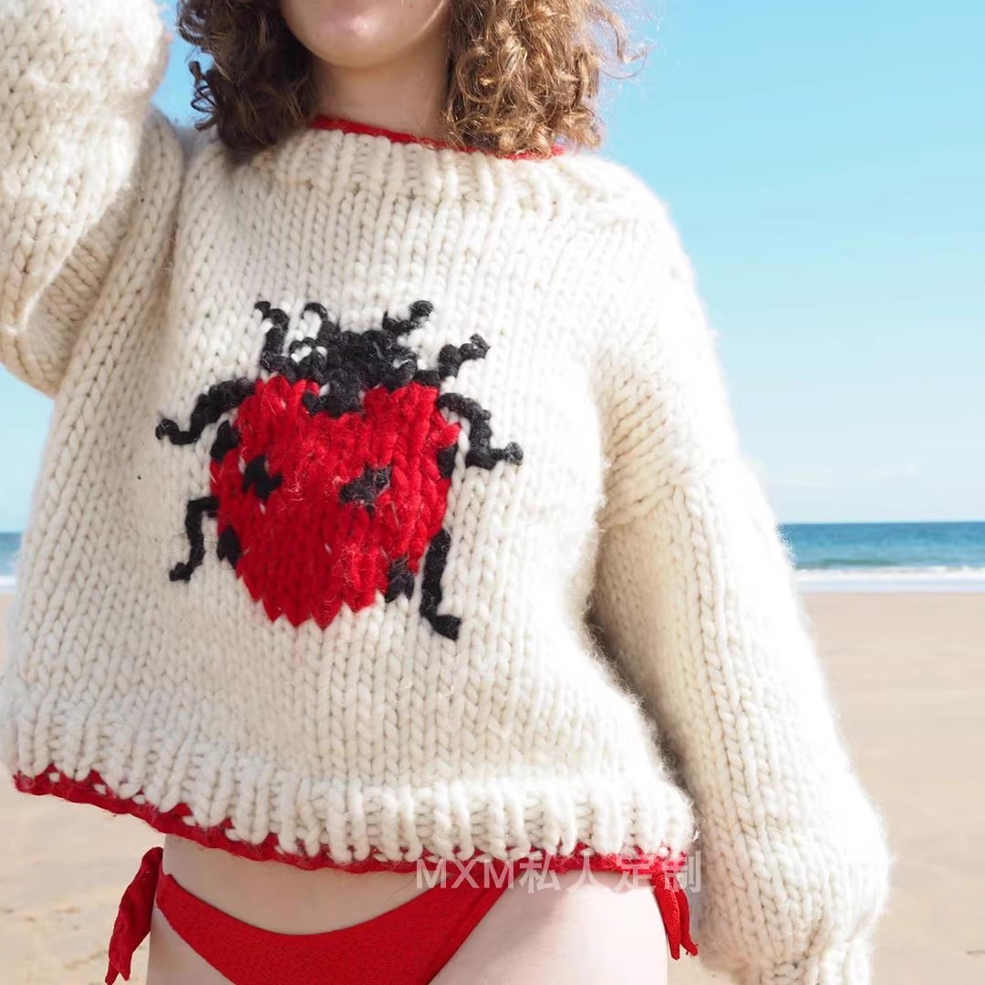 Seven Star Ladybug Pattern Pur - Embroidery Lady Bug recension och pris